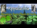 Appalachia Mountain Roots Plants and Herbs