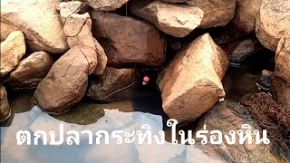 ตกปลากระทิงในร่องหิน ยามเช้าๆ