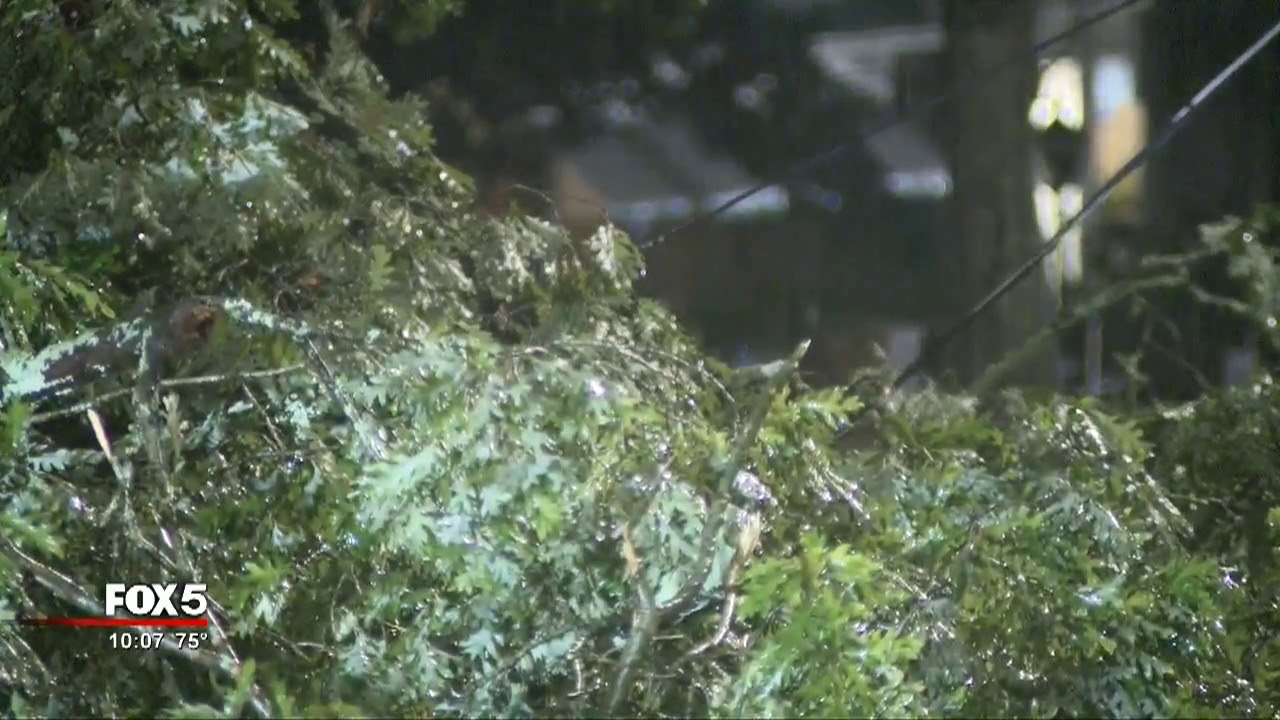 Damage in metro Atlanta - YouTube