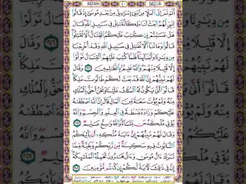 سورة البقرة ص40 الغامدي