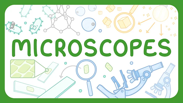 Parts of a Microscope & How to Use a Microscope