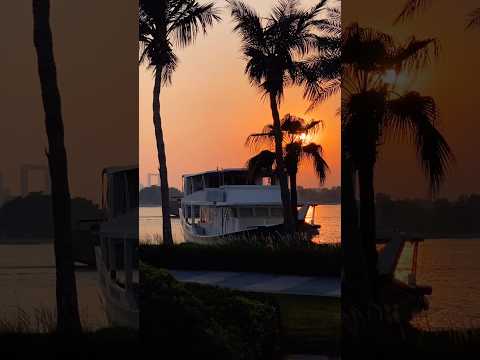Dubai Creek #travel #contentcreator #vlogs #shorts