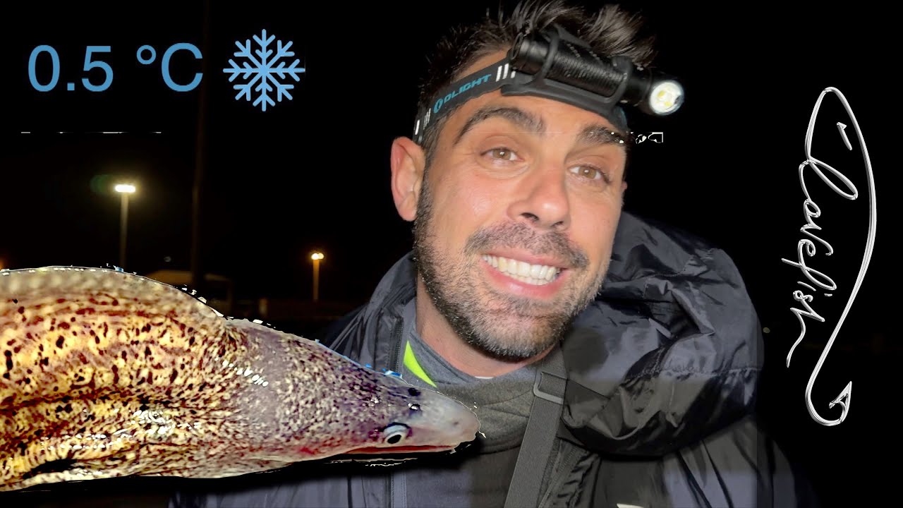 Pesca ai predatori notturni