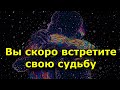 7 признаков того, что вы скоро встретитесь со своей судьбой.