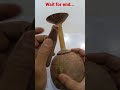 coconut shell wine cup l DIY l  #shorts #short #youtubeshorts