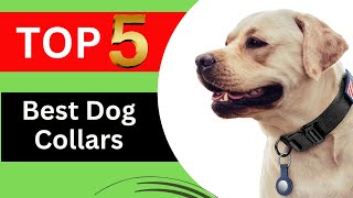 Top 5 Best Dog Collars for 2024 [Benefits and Top Picks]