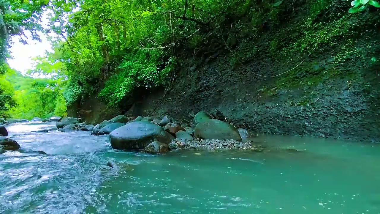 Nature's Calm - Sleep Like a Baby – This Forest Stream Sound Is a Total Game Changer - Deep Sleep