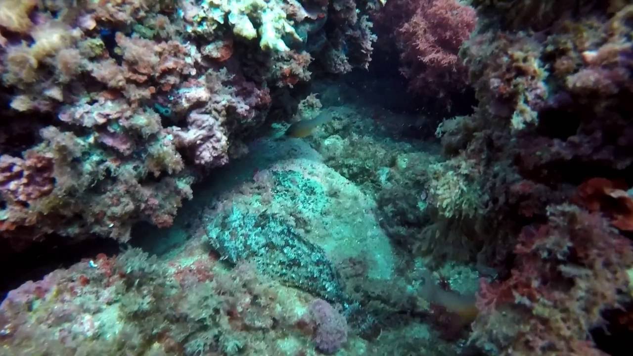 GoPro Buceo Altea Cueva del Elefante