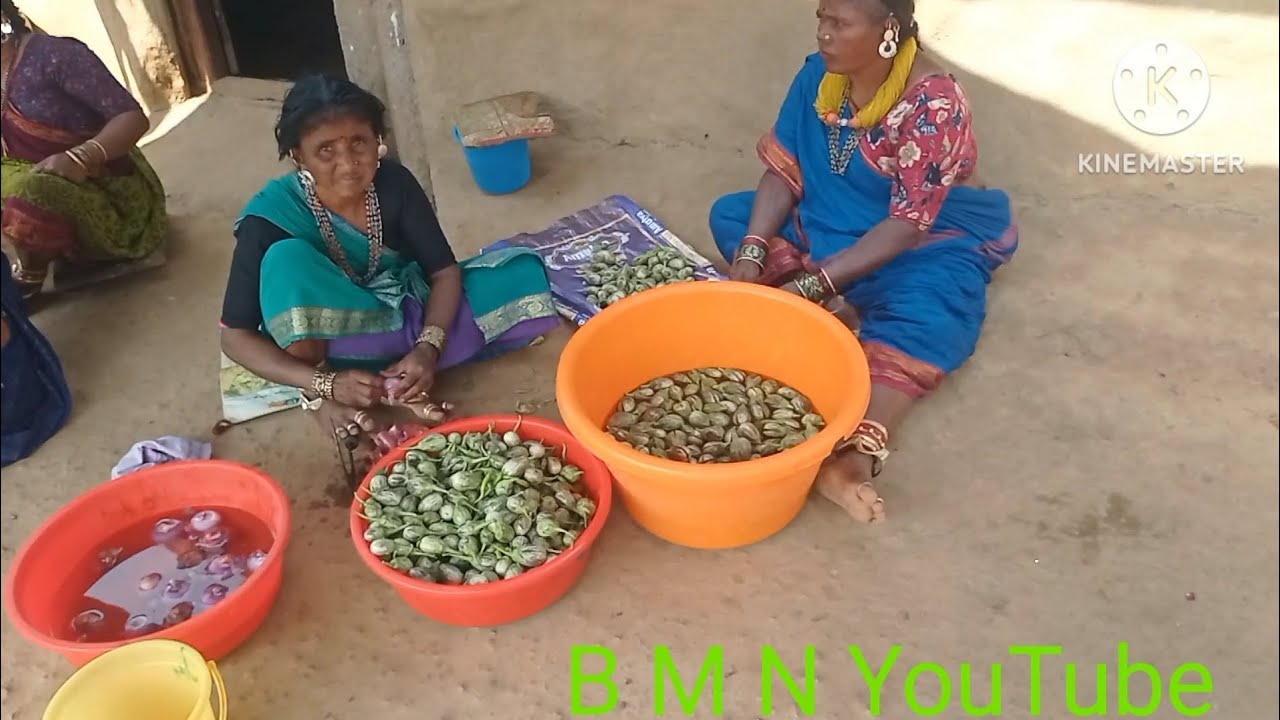 లవణ సమాజ్ 