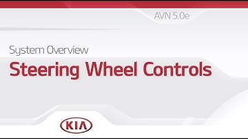 System Overview: Steering Wheel Controls