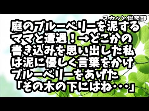 【スカッとする話】庭のブルーベリーを泥するママと遭遇！→そこでコピペを思い出した私は優しく言葉をかけて泥にブルーベリーをあげた！「その下にはね･･･」→結果ｗｗｗ
