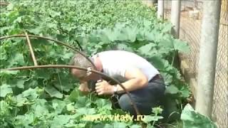 Видео из +100500 (Эпизод №5) - Сила Земли