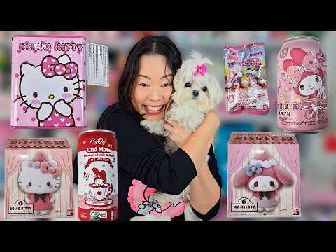 WEIRD! Carbonated Tea, Gummy, Juice and Hello Kitty and My Melody Miniatures
