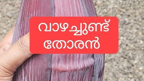 ഇന്ന് നമുക്ക് വാഴ ചുണ്ട്  / വാഴ കൂമ്പ് തോരൻ ഉണ്ടാക്കിയാലോ 😊