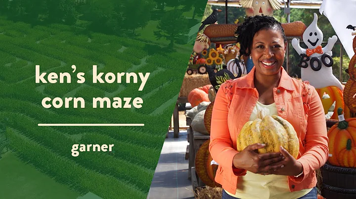 Ken's Korny Corn Maze: A Fall Family Favorite