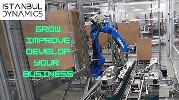 gantry robot pick and place erecting and sealing multiple case size