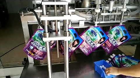 Automatic dual head 5L spout pouch filling capping machine