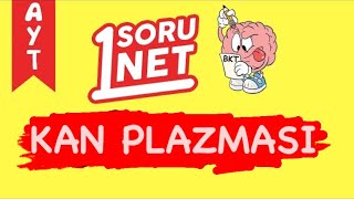 Kan Plazması Sayfa 905 Ayt Biyoloji
