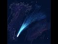 Muffz Live Stream