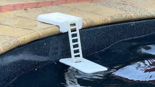 Lizard and Frod pool ramp