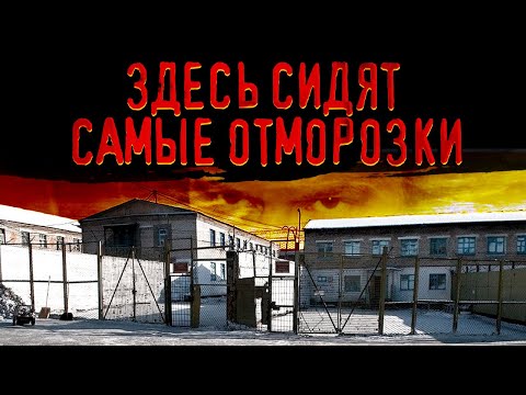 Самая страшная тюрьма России / Правда о «Полярной Сове»