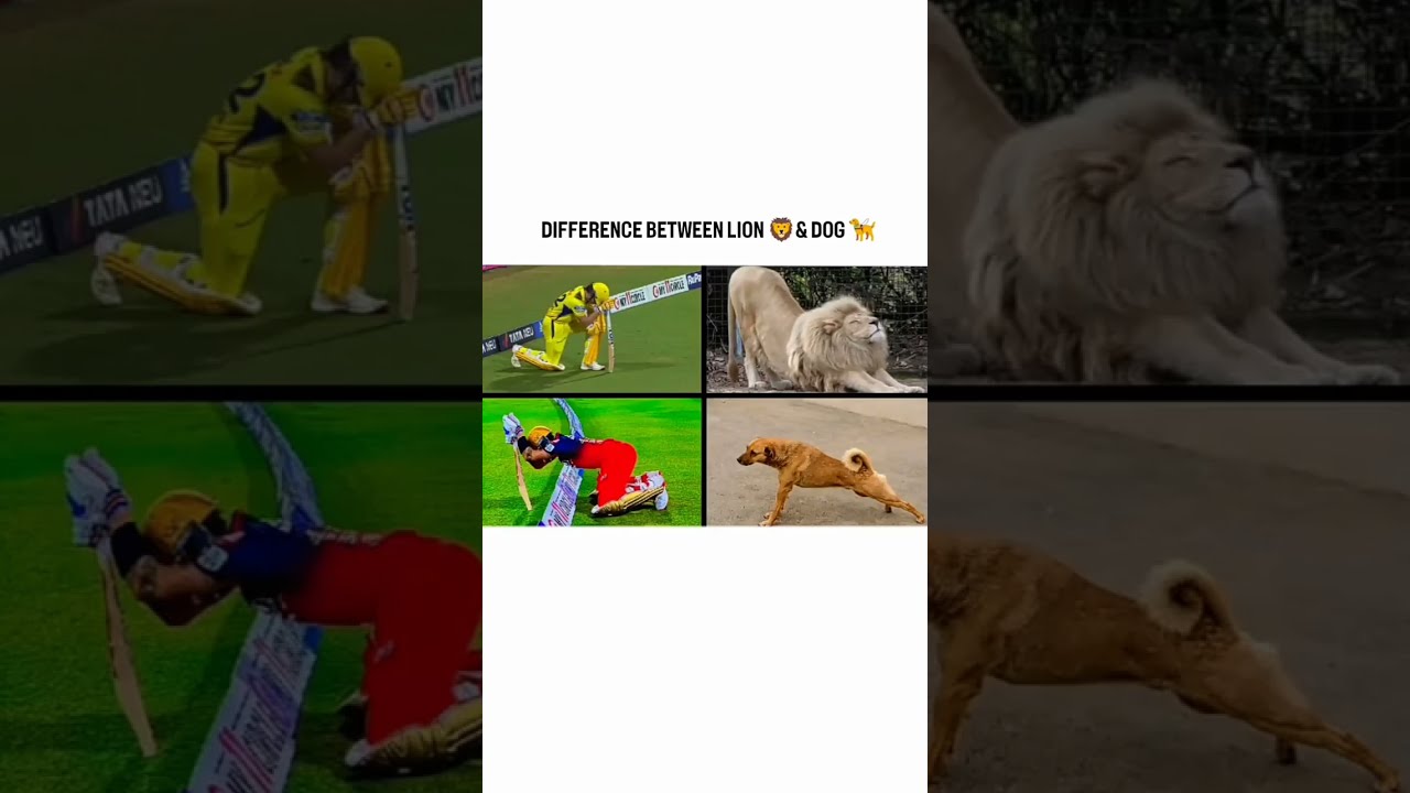 Difference Between And Rkt Party Cricket Sirjadeja Indiancaptain Ipl Rjadeja I