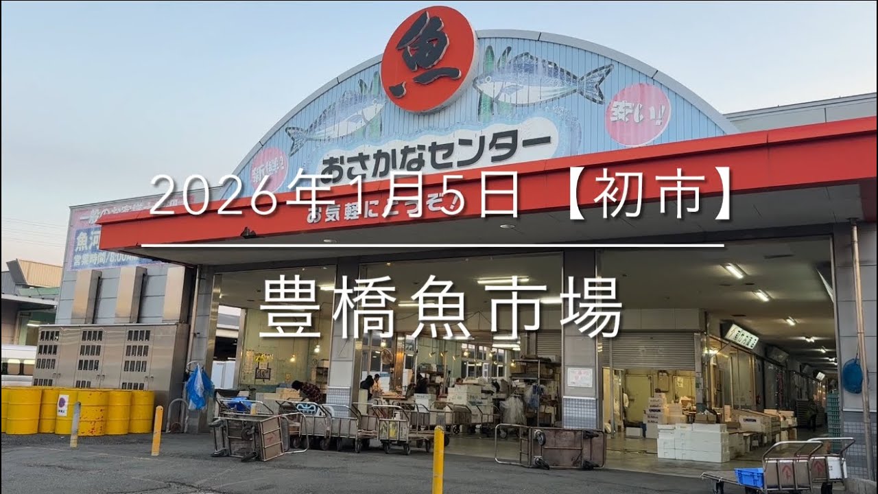【2026年初市】想像以上に厳しい現実【閑散とした市場】『豊橋魚市場』唖然