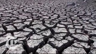 The state is experiencing worst drought in its history. find out just
how bad situation getting and what it means for you. produced by:
carrie hal...