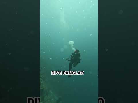 60-Second Dive Rush | Panglao Bohol’s Turquoise Realm