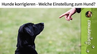 Hunde korrigieren ➡ Welche Einstellung zum Hund? ➡ Erklärvideo ✔