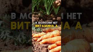 Витамин А. Симптомы дефицита.