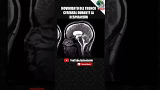 ASÍ SE MUEVE TU CEREBRO DURANTE LA RESPIRACIÓN 🧠😍 #psicologia #cerebro #Shorts