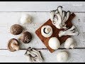 버섯 손질&보관법(HOW TO CUT&KEEP MUSHROOM)_ by handycook