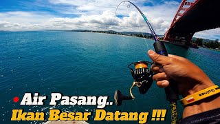 KETIKA AIR LAUT PASANG.. INILAH YANG TERJADI!!!DAPAT IKAN SEBESAR BANTAL..