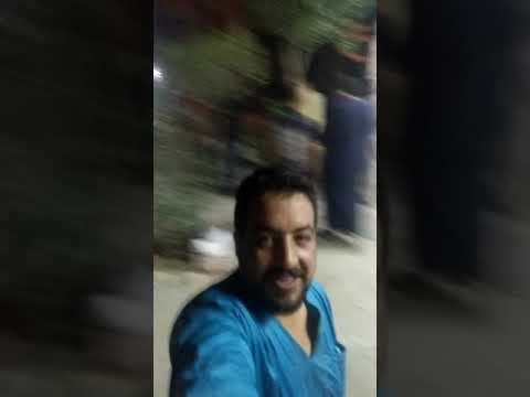 فوز الجزائر على نيجيريا عام 2019