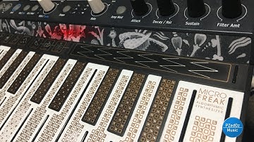 Arturia Micro Freak | Eventide H9 | Vocals