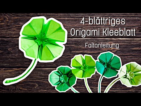 Video: Über vierblättrige Kleeblätter - Gründe für die Suche nach einem Kleeblatt mit vier Blättern