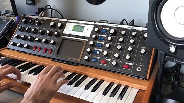 Moog Voyager improvisation
