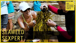 Seaweed Sex Therapist | Operation Crayweed