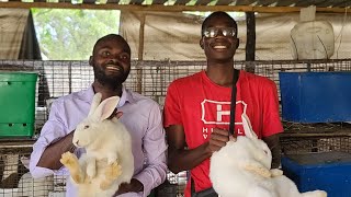 'How to Make Thousands of Dollars with Rabbit Farming: A Zimbabwean Success Story'. Part 1