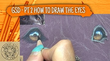 How to Draw Dogs Eyes in Colored Pencil -Tutorial