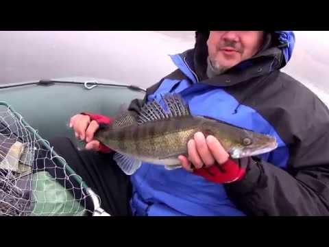 Судак на джиг - р.Днепр. Spin Fishing.