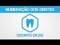 NUMERAÇÃO DOS DENTES | ODONTO DICAS