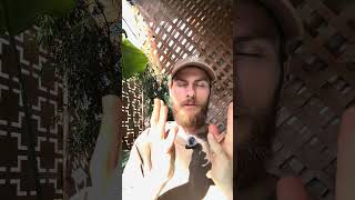 Conquering the dark forces in your life #enlightement #soulprosperity