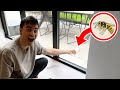 Helping My Friend Overcome His BIG FEAR!