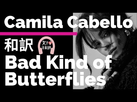 カミラ カベロ Bad Kind Of Butterflies Camila Cabello Lyrics 和訳 泣ける かわいい 洋楽19 Album ロマンス Youtube