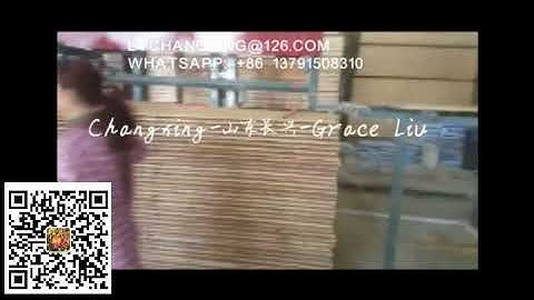 Core board putty  machine-China blockboard production- putty machine