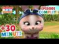 Summer &amp; Todd | 30 MINUTI di Episodi Completi | Video educativi per bambini