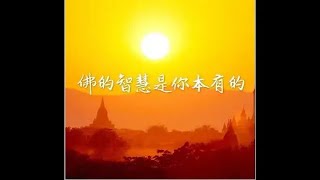 201401 佛的智慧是你本有的30651