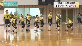 みんなのスポーツ「全国大会へ！さくら小ドッジボール」